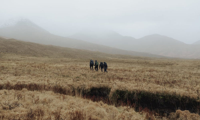 Is Merino Wool Good for Backpacking?