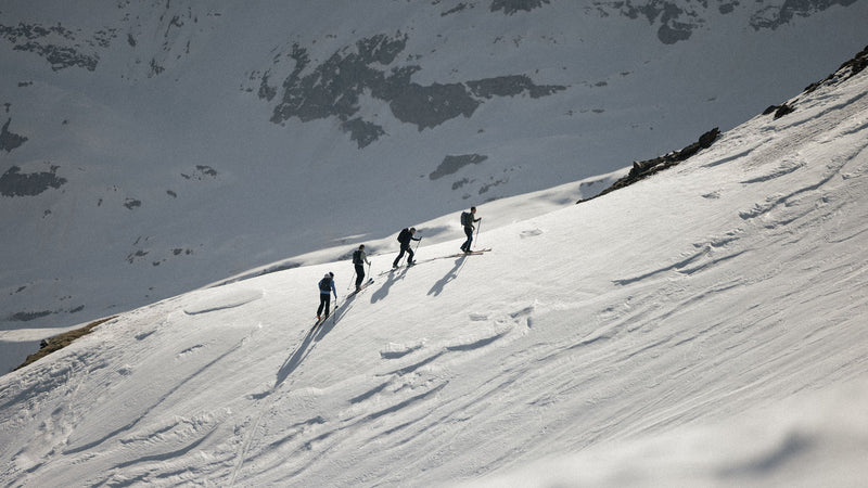 Powder & Power: Celebrating trailblazing patrollers.