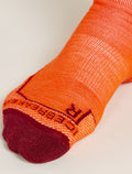 Men's Merino Hike+ Medium Crew Socks Sedimentary Blaze/Port - 3