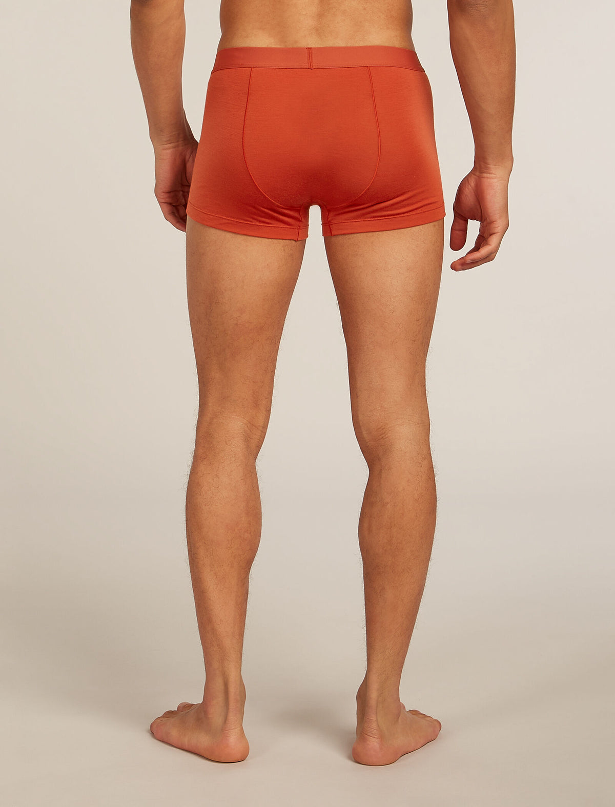 Men's Merino Blend 125 Cool-Lite™ Anatomica Trunks Agate - 2