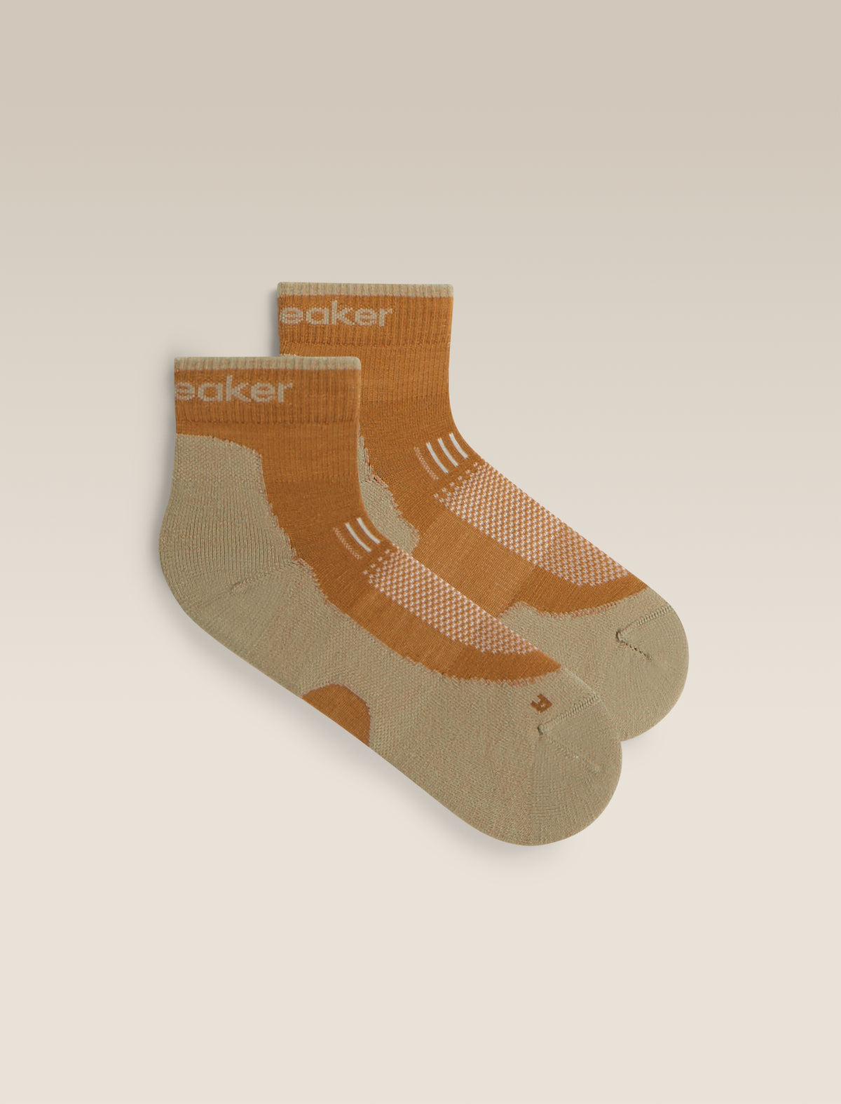 Men's Merino Hike+ Light Mini Socks Trail/Flagstone - 1