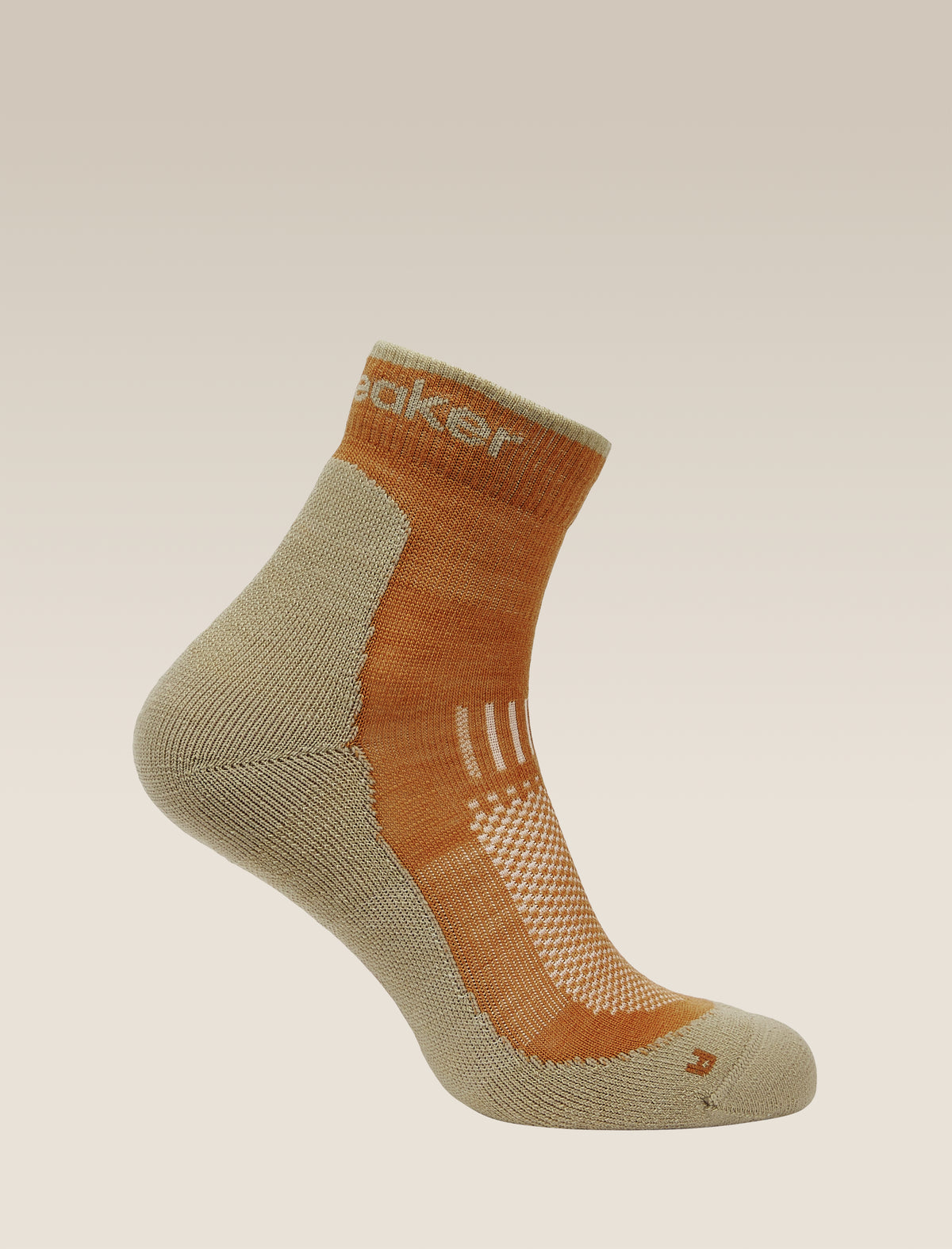 Men's Merino Hike+ Light Mini Socks Trail/Flagstone - 5