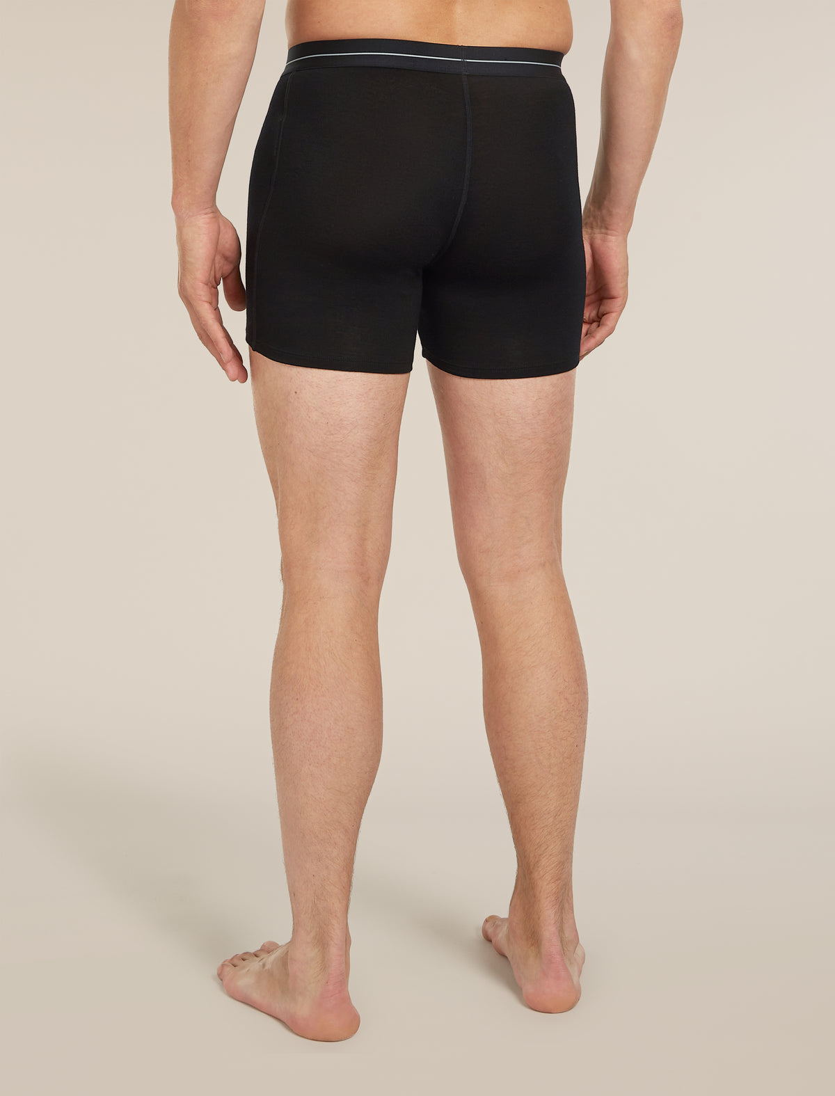 Men's Merino 150 Anatomica Boxers wFly 2 Pack Black - 3