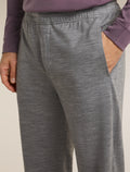 Men's Merino Blend 150 Drift Pants Metro Heather - 6