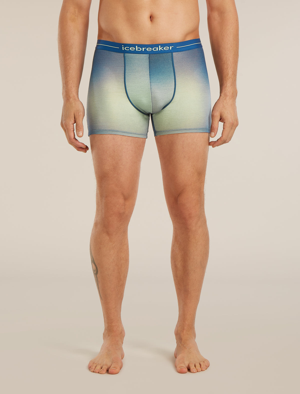 Men's Merino 150 Anatomica Boxers Transition  - 1