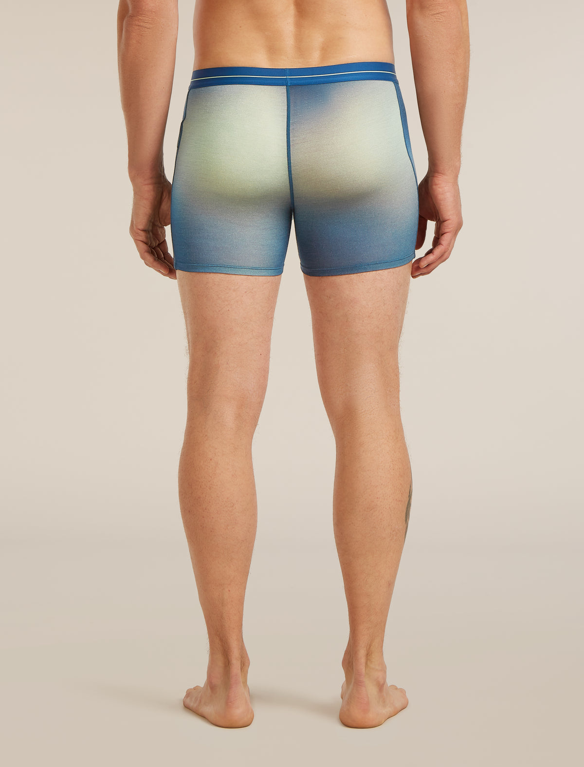 Men's Merino 150 Anatomica Boxers Transition  - 2