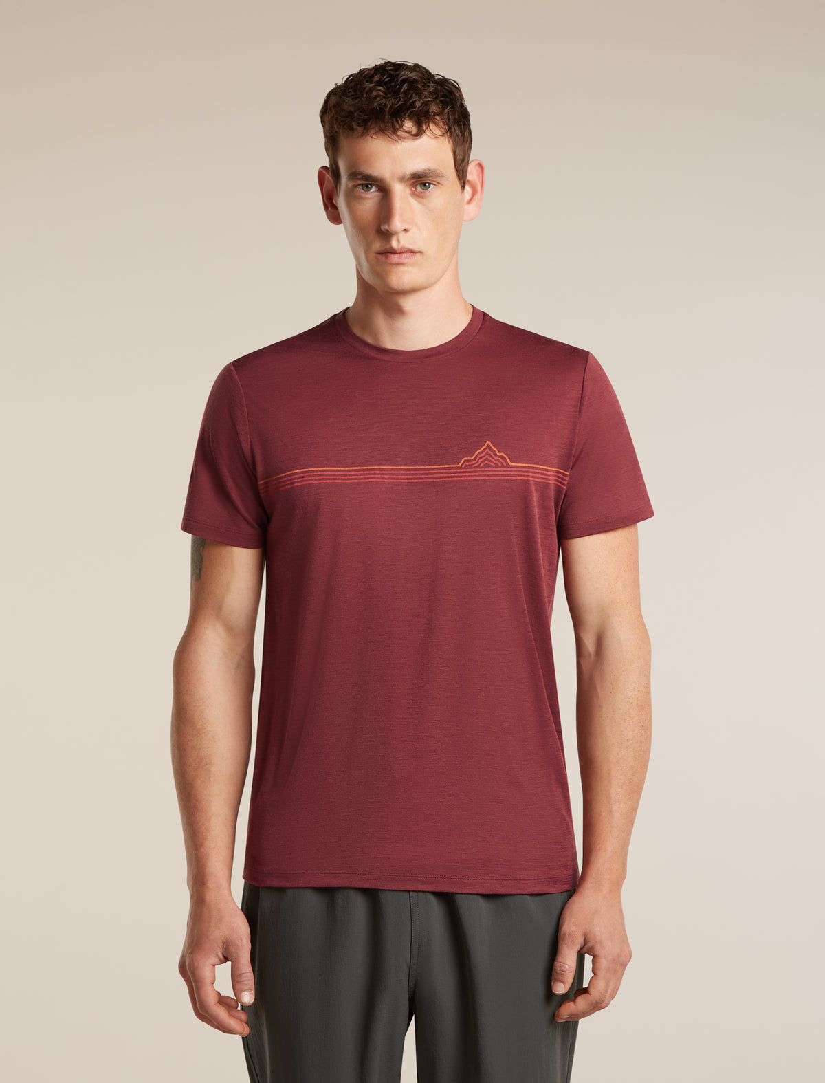 Men's Merino 150 Tech Lite Short Sleeve Tee Range Stripes Port - 1