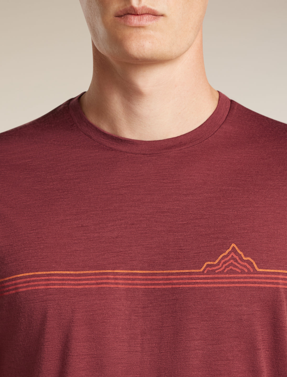 Men's Merino 150 Tech Lite Short Sleeve Tee Range Stripes Port - 6