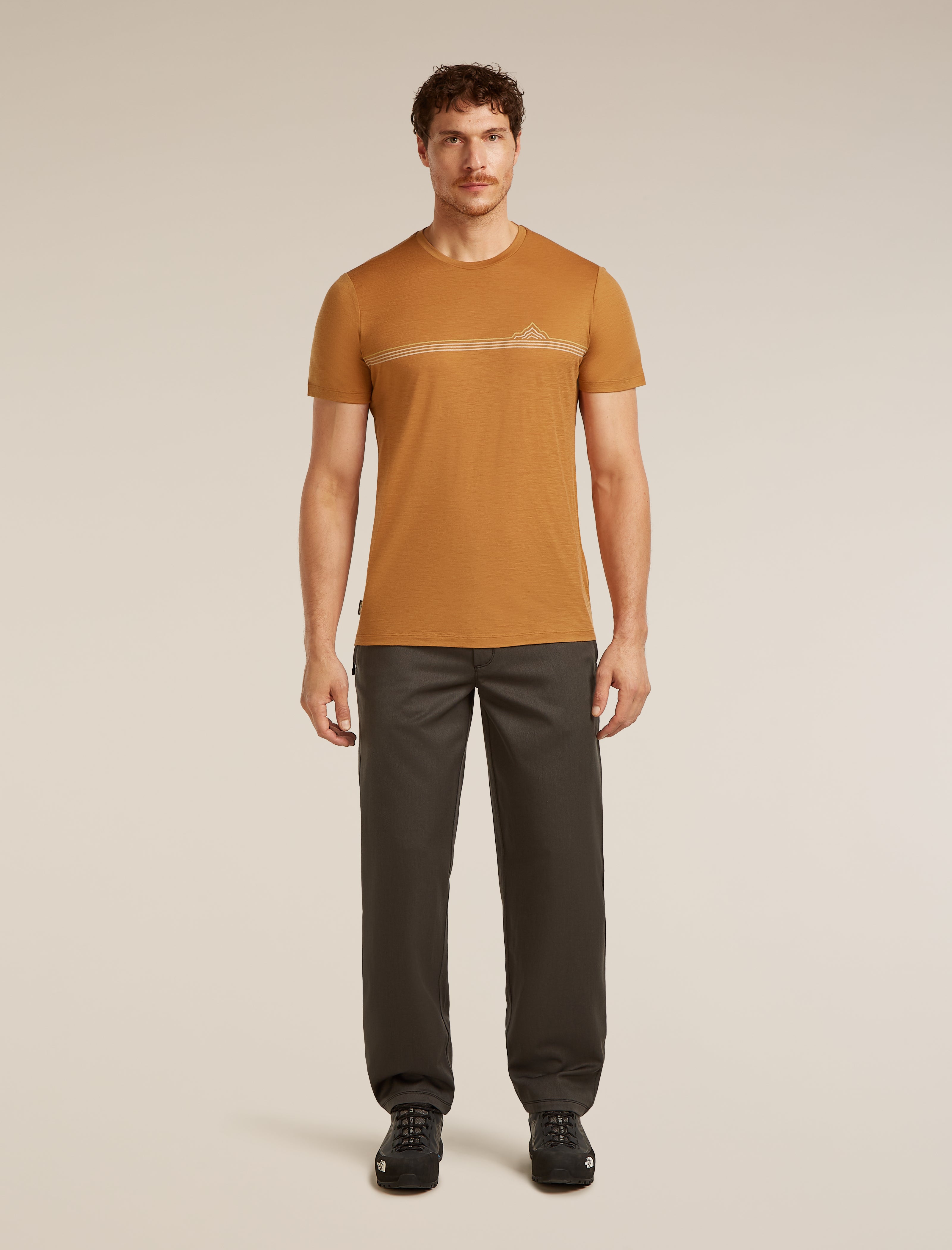 Icebreaker 150 Merino Tシャツ Lサイズ Men Merino 150 Tech Lite Short Sleeve Tee Range Stripes