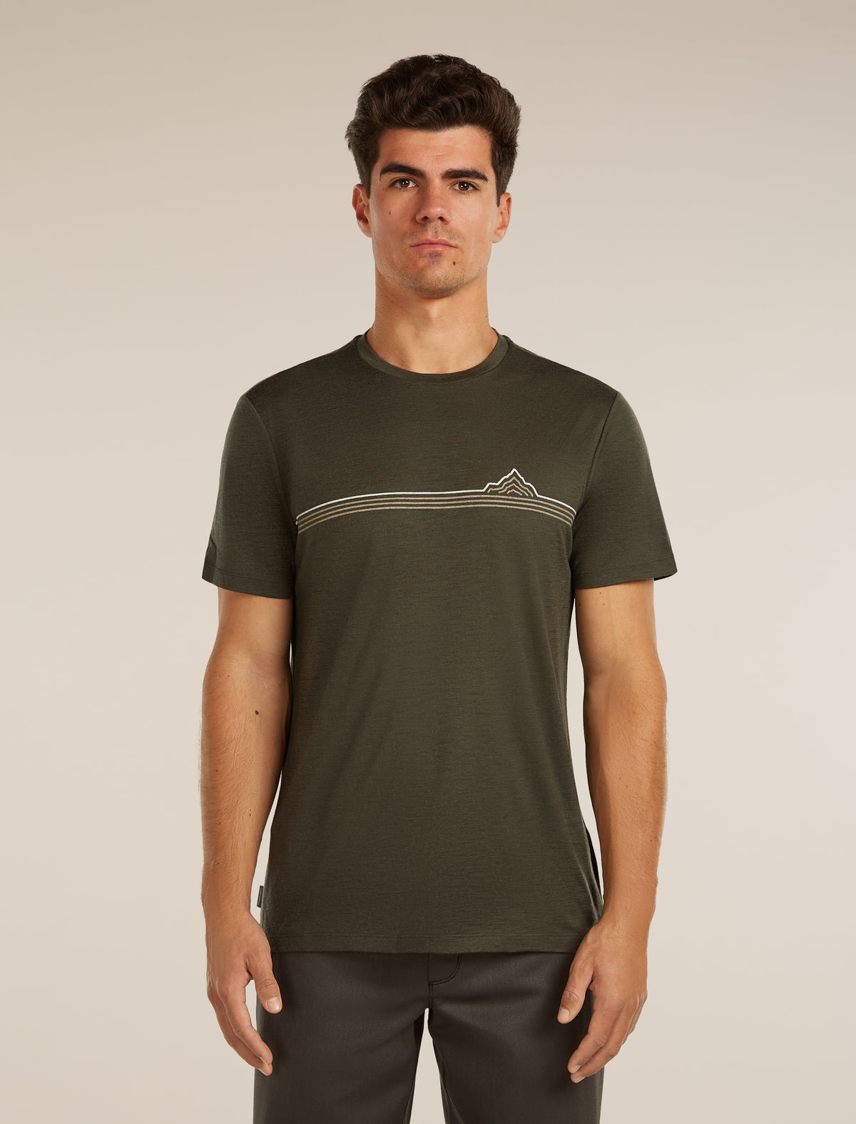 Men's Merino 150 Tech Lite Short Sleeve Tee Range Stripes  - 1