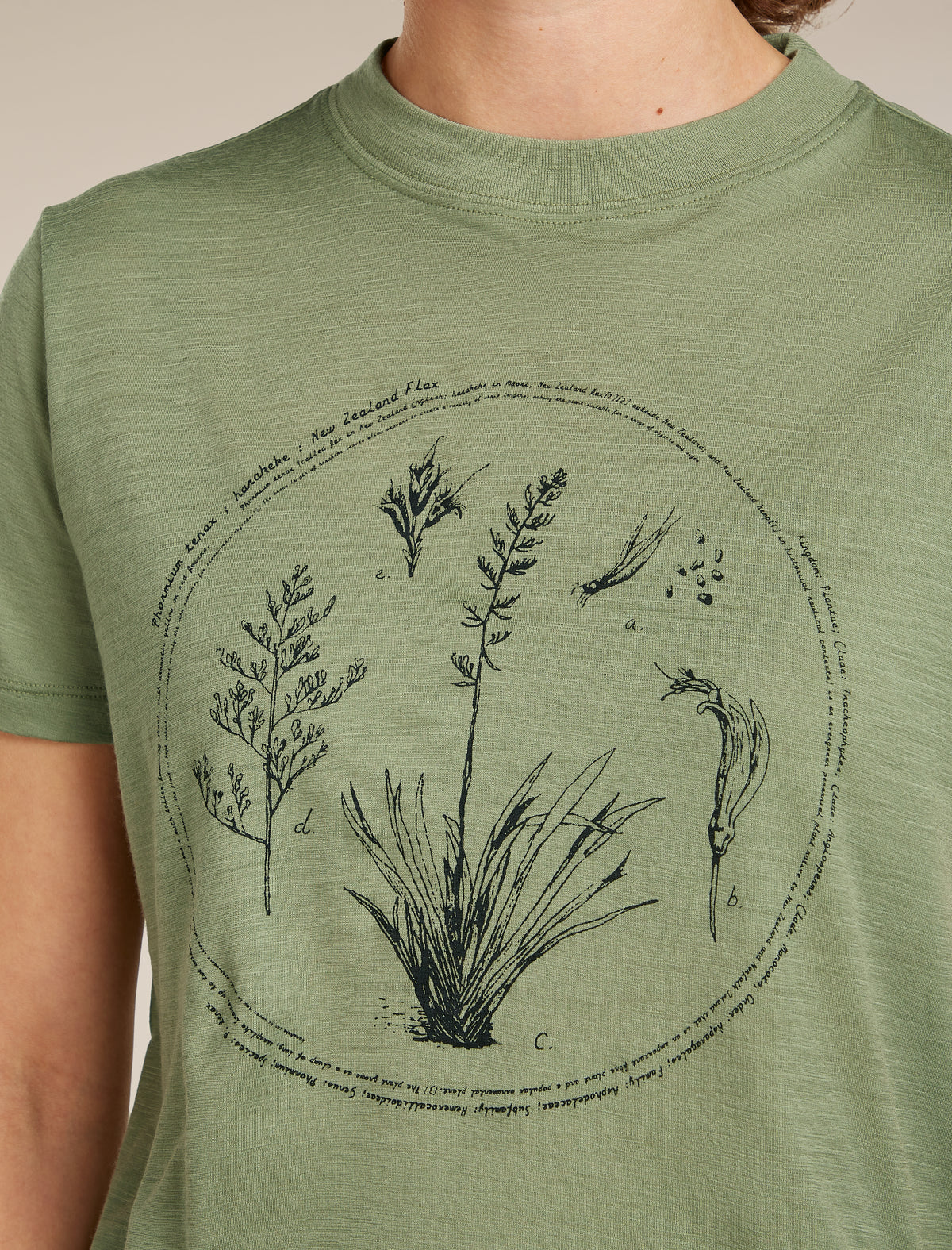 Women's Merino 150 Tech Lite Short Sleeve Crop Tee Seed Story Lichen - 5