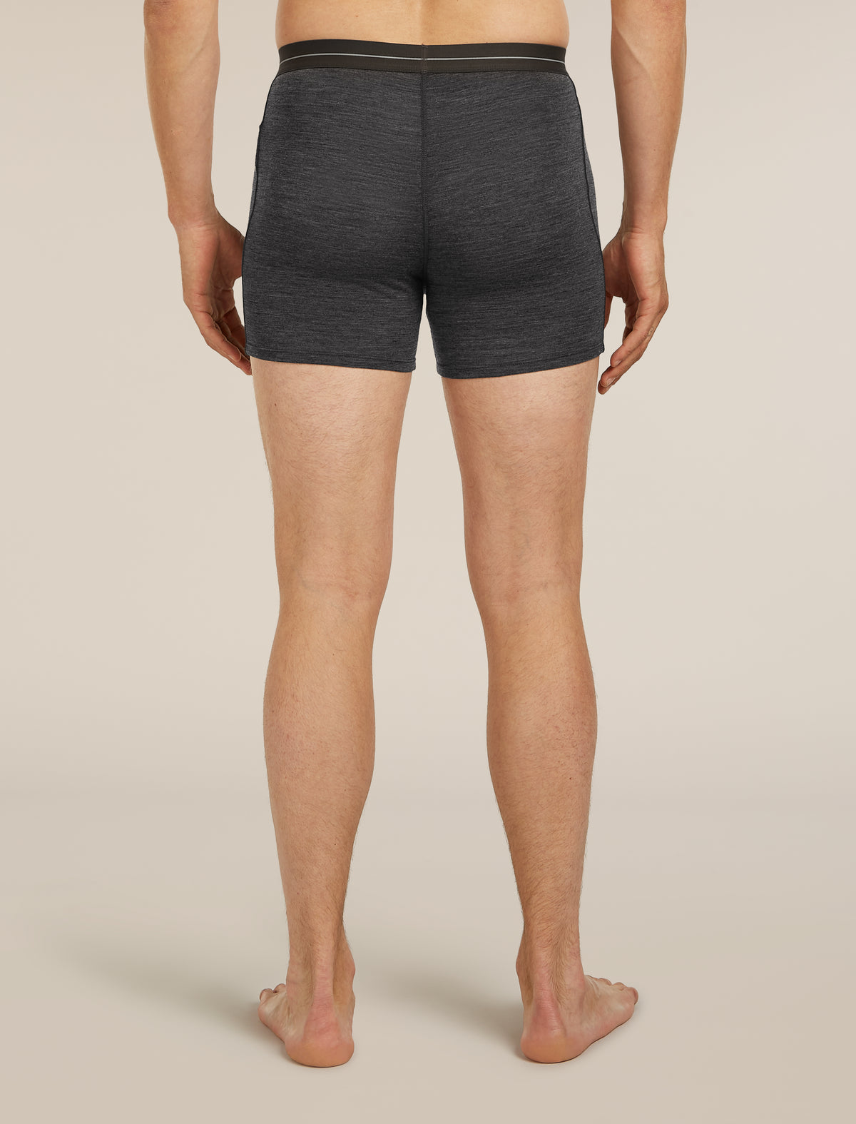Men's Merino 150 Anatomica Boxers Jet Heather - 2