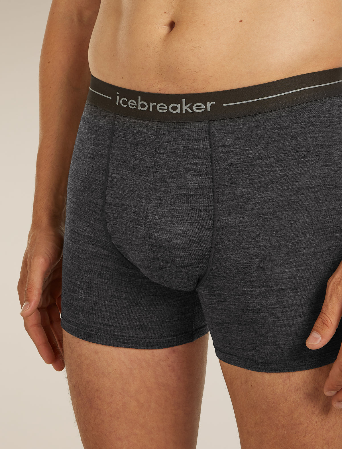 Men's Merino 150 Anatomica Boxers Jet Heather - 7