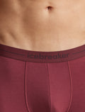 Men's Merino 150 Anatomica Boxers Port - 4
