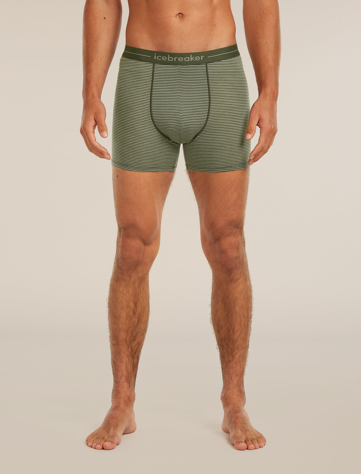 Men's Merino 150 Anatomica Boxers Lichen/Dark Loden - 1