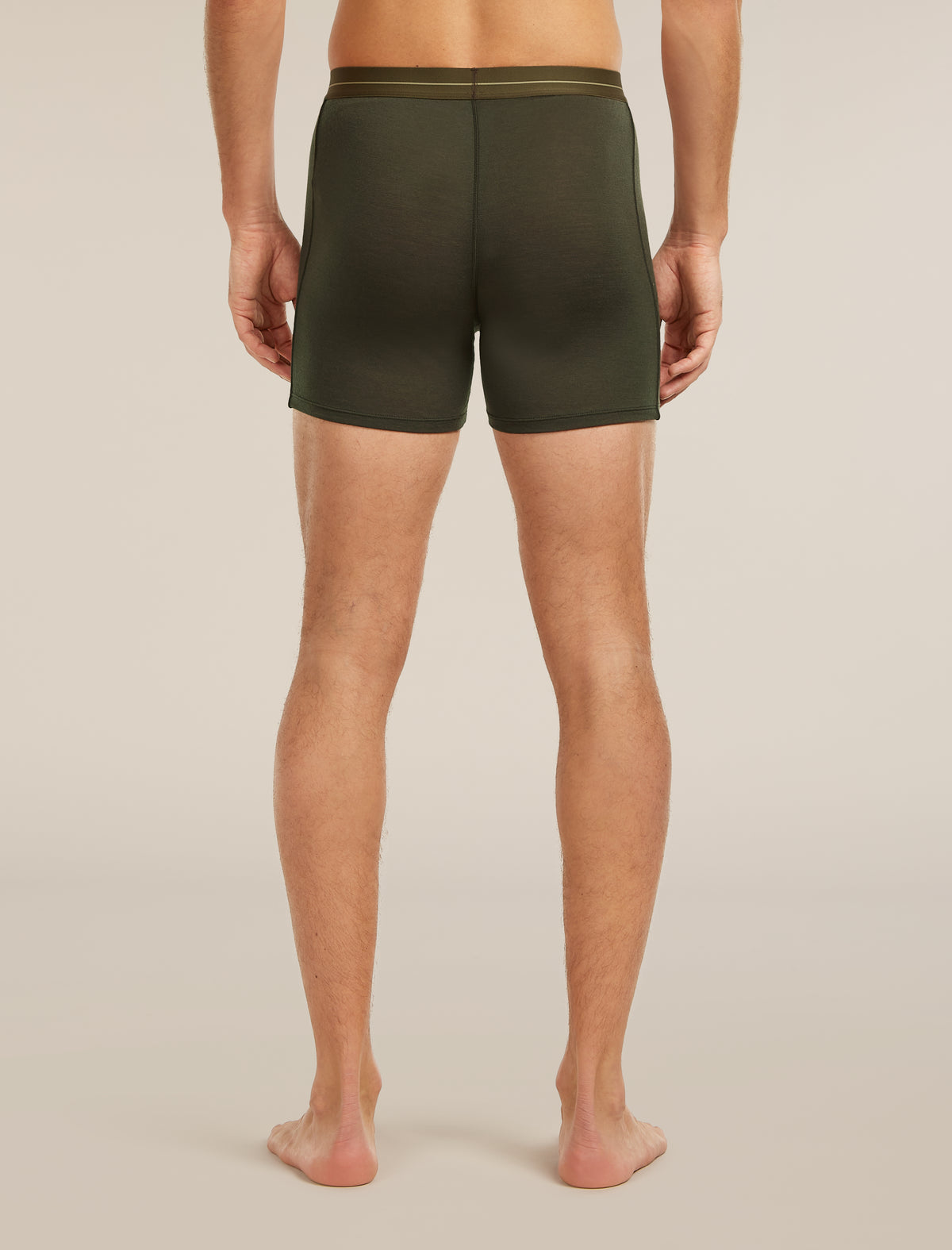 Men's Merino 150 Anatomica Boxers wFly Dark Loden - 2