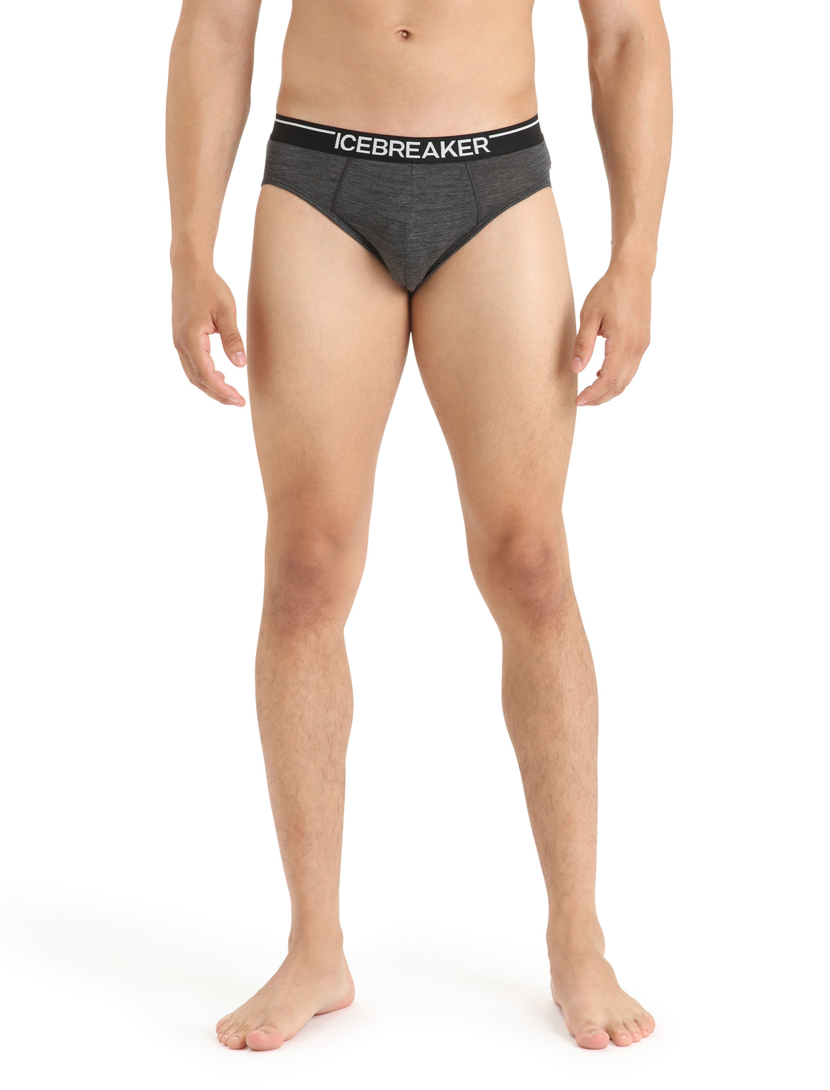 Men's Merino 150 Anatomica Briefs Metro Heather - 1