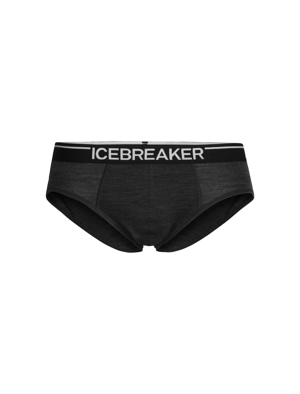 Men's Merino 150 Anatomica Briefs Metro Heather - 5