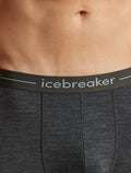 Men's Merino 150 Anatomica Long Boxers Jet Heather - 4
