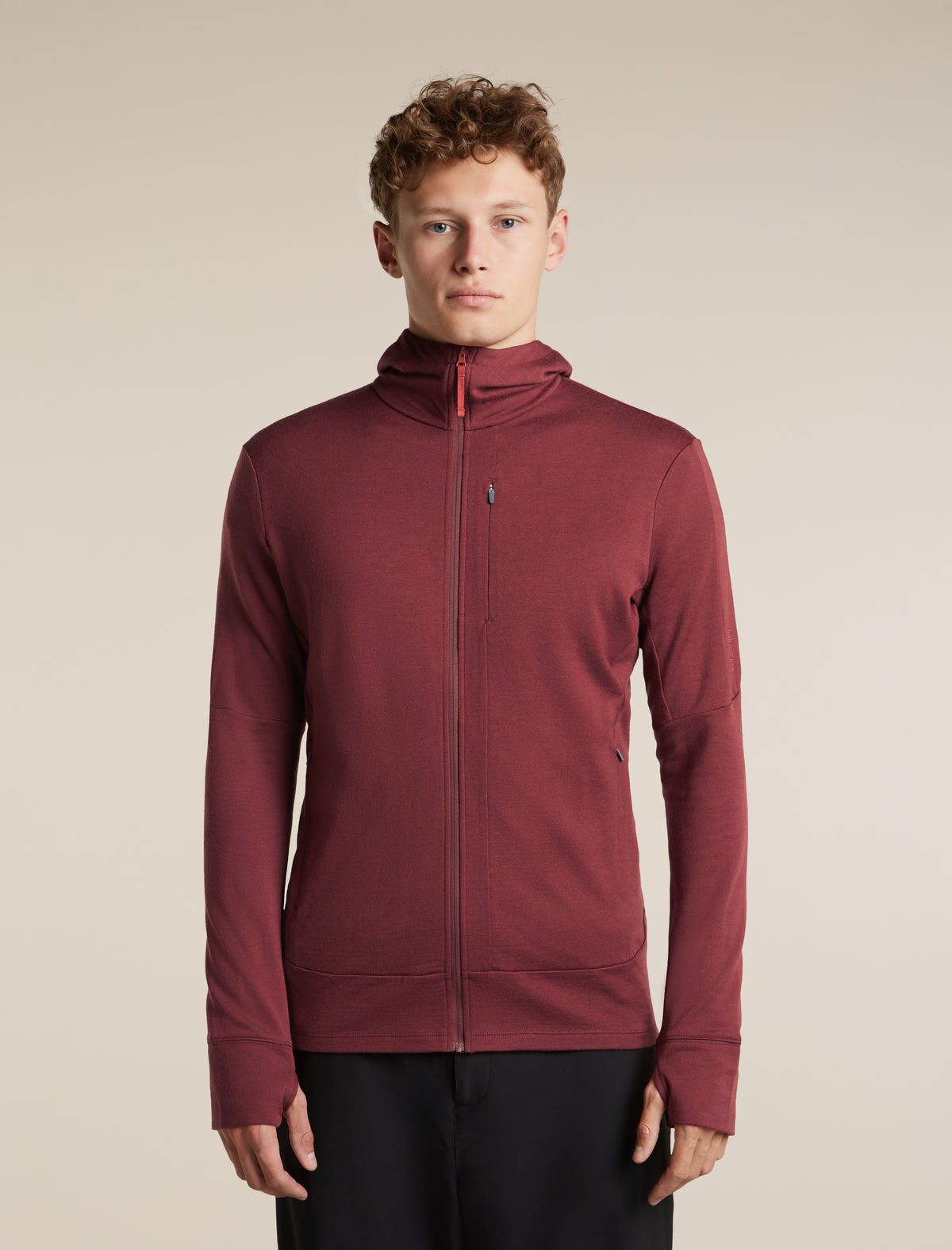 Men's Merino 260 Quantum Long Sleeve Zip Hoodie Port/Agate - 1