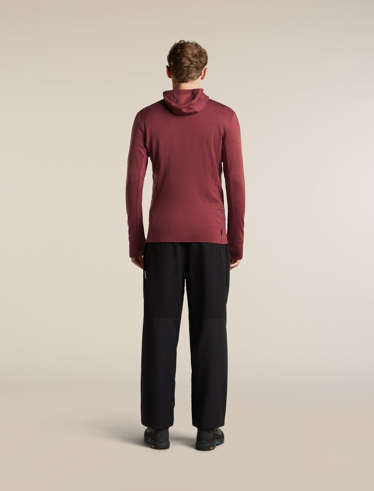 Men's Merino 260 Quantum Long Sleeve Zip Hoodie Port/Agate - 9