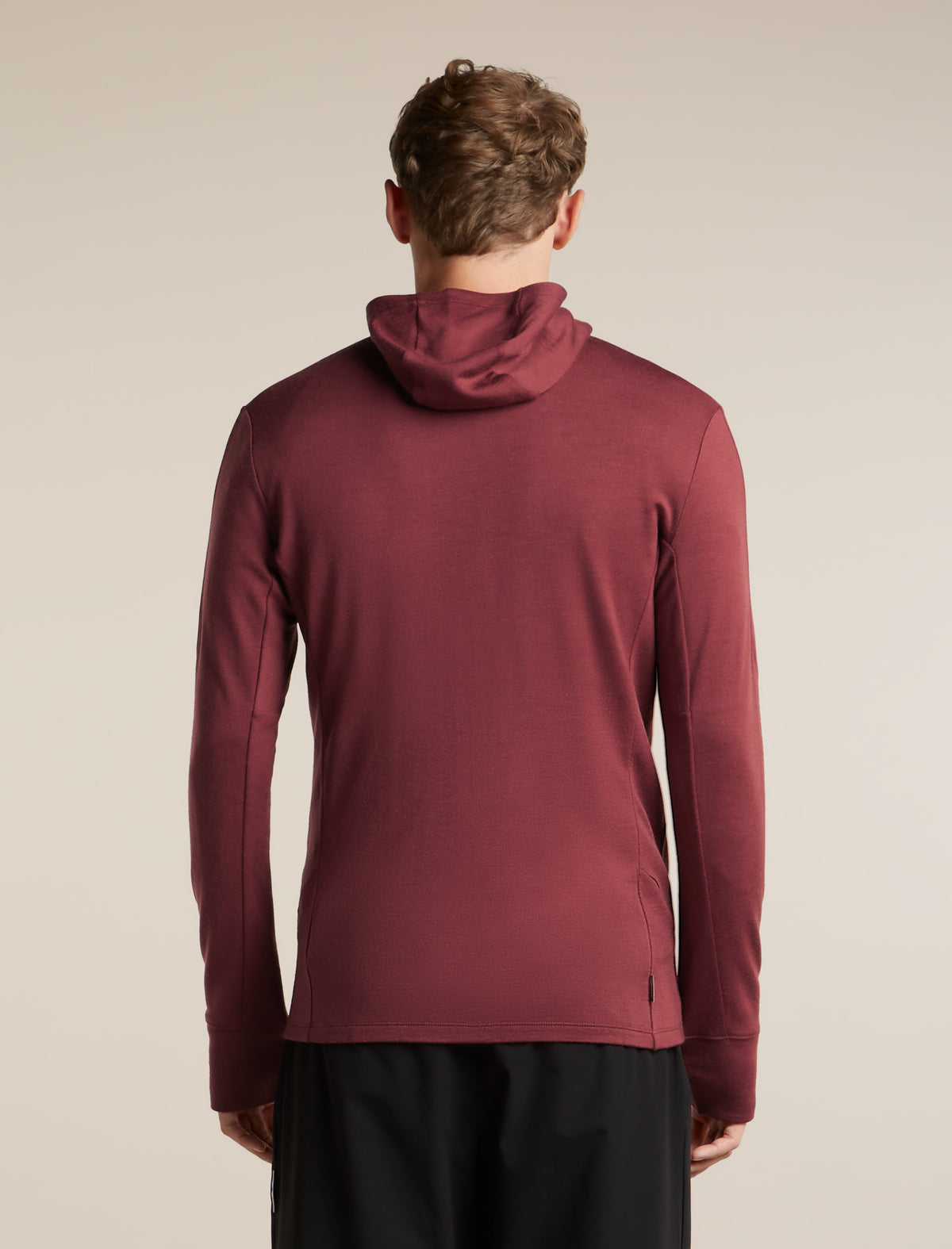 Men's Merino 260 Quantum Long Sleeve Zip Hoodie Port/Agate - 2