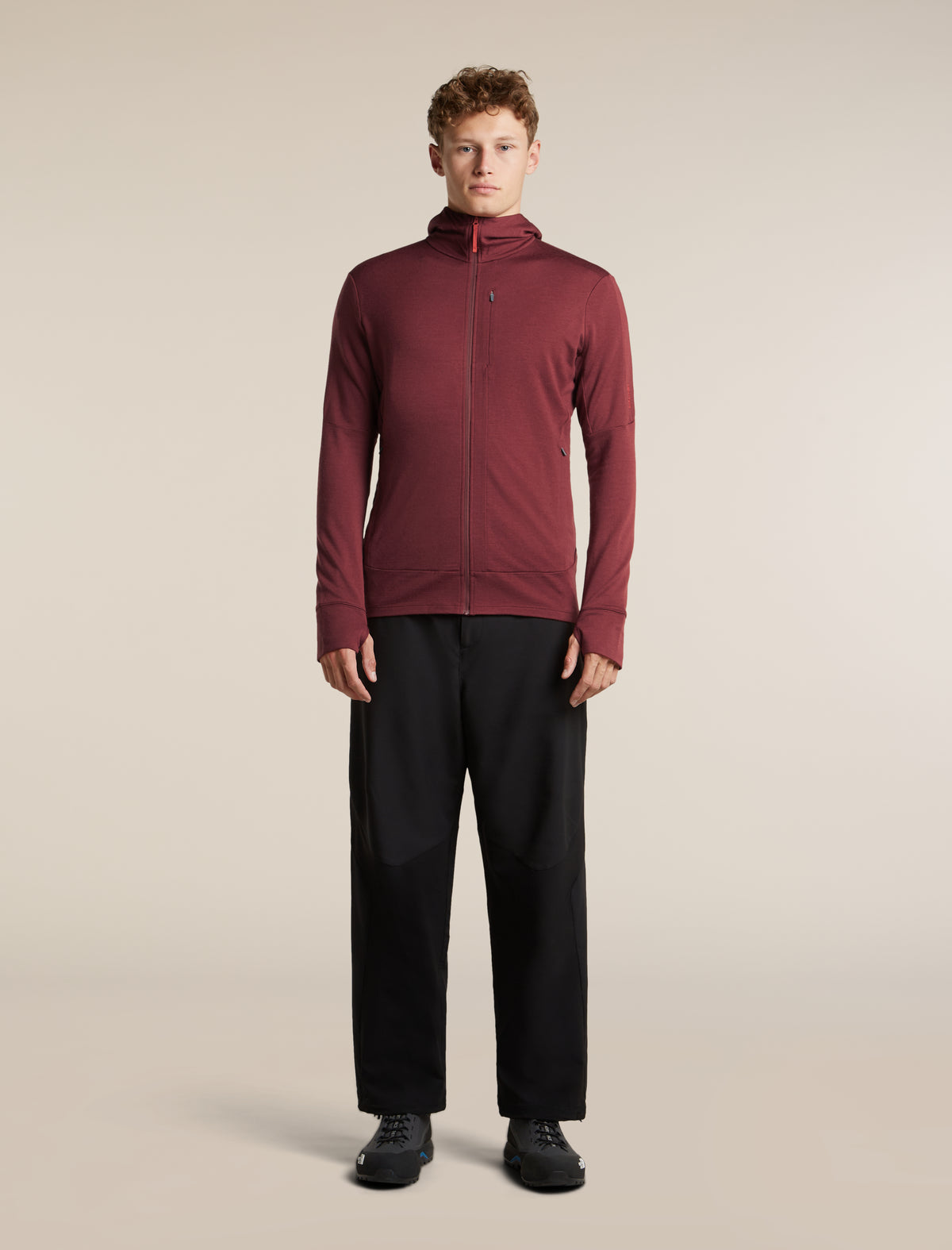 Men's Merino 260 Quantum Long Sleeve Zip Hoodie Port/Agate - 3