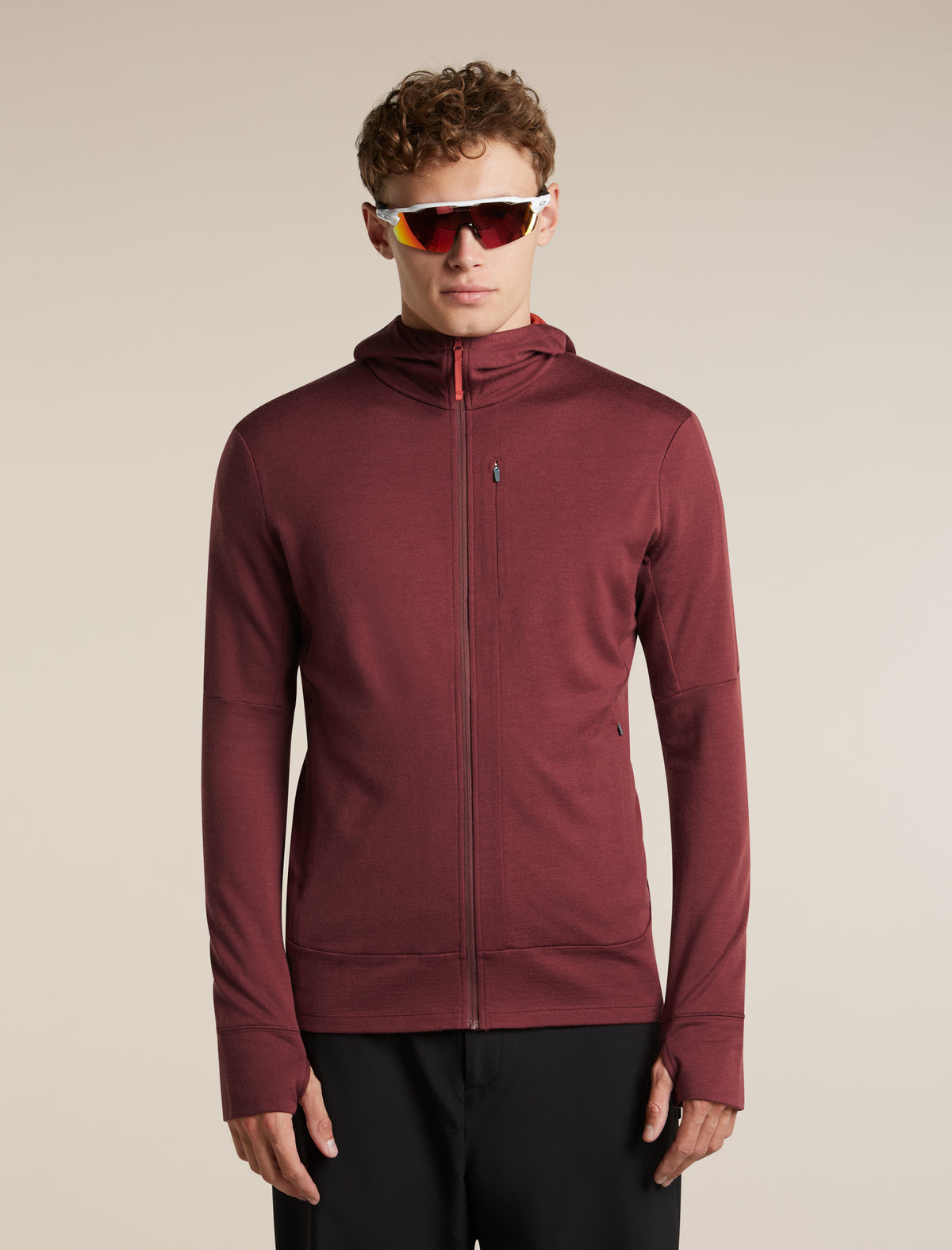 Men's Merino 260 Quantum Long Sleeve Zip Hoodie Port/Agate - 5