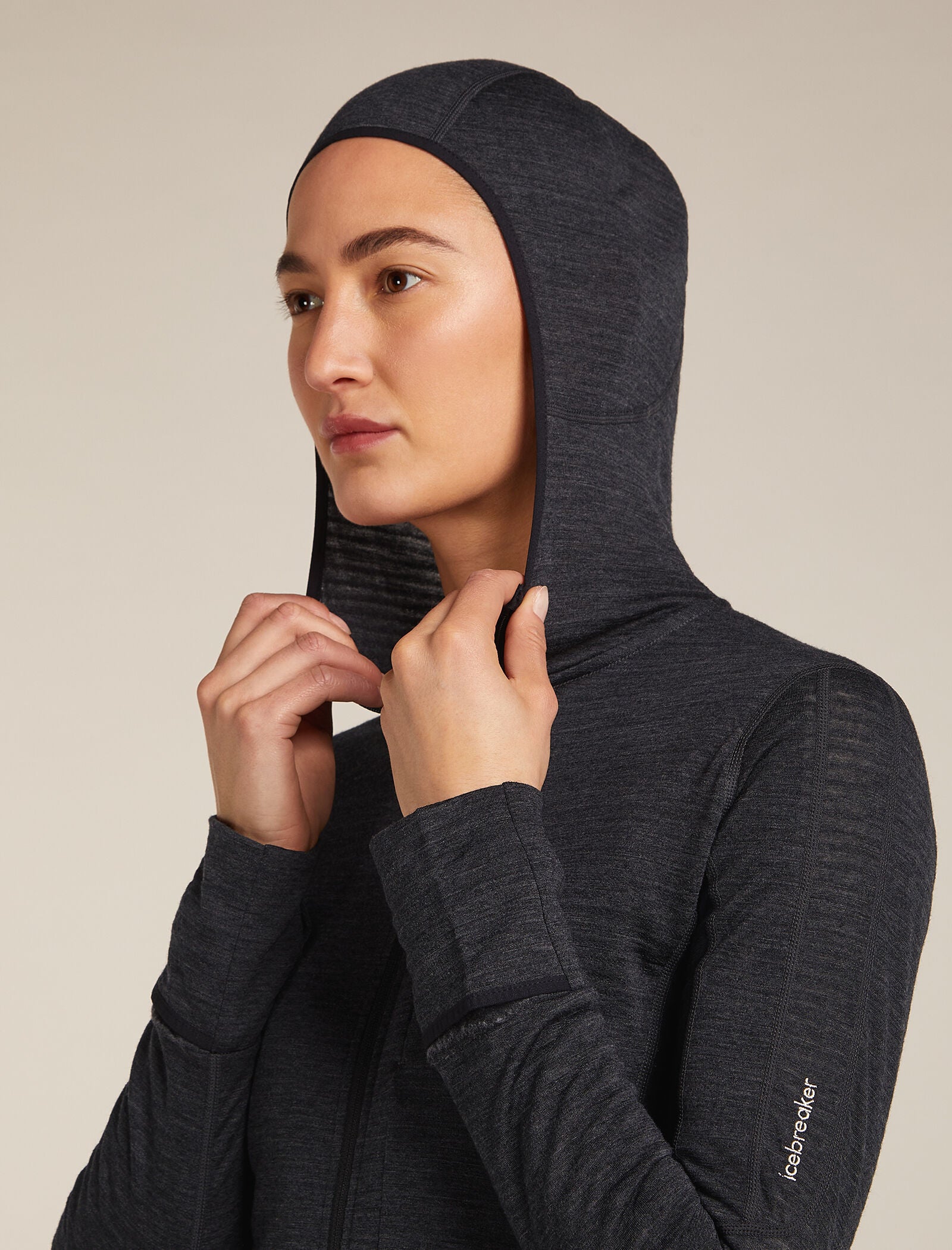 icebreaker - 【新品】icebreaker リアルフリース プルオーバー　ブラック　women Women's RealFleece™ | icebreaker
